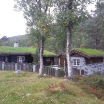 Zelená strecha
